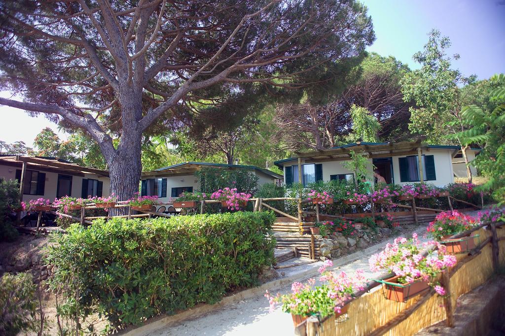 Acquaviva Village Camping ปอร์โตแฟร์ราโย ห้อง รูปภาพ
